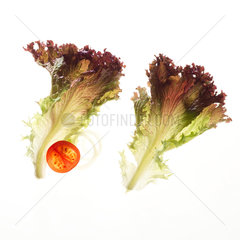 Lollo rosso Salat garniert mit Tomate und Zwiebelringen