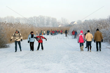 Bad Buchau  Menschen gehen auf dem zugefrorenen Federsee spazieren
