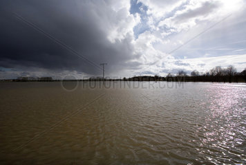 Riedlingen  Hochwasser der Donau: Felder sind komplett ueberflutet