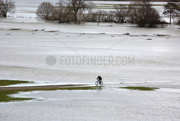 Riedlingen  Hochwasser der Donau: Ein Radfahrer faehrt durch ueberflutete Felder