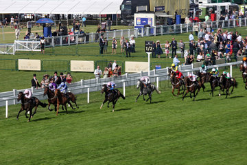 Royal Ascot  Domination with Fran Berry up wins the Ascot Stakes