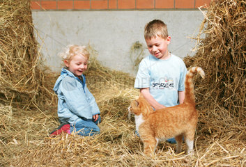 Kinder mit Katze im Heu  Niedersachsen