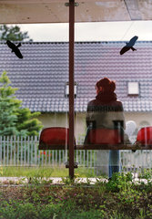 Maedchen wartet an einer Bushaltestelle  Brandenburg