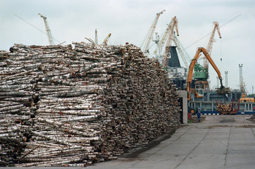Verschiffung von Holz im Hafen von Klaipeda  Litauen