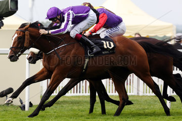 Royal Ascot  Leading Light with Joseph O'Brien up wins the Gold Cup