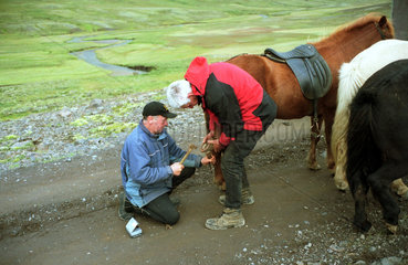 Varmahlid  Sveinn beschlaegt ein Pferd