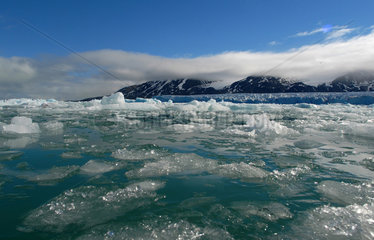 Treibeis in Spitsbergen (Norwegen)