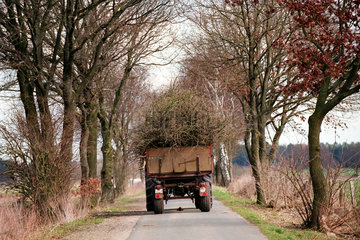 Traktor zieht einen Anhaenger gefuellt mit Aesten auf e. Landstrasse  Norddeutschland