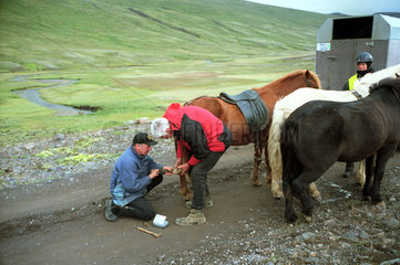 Varmahlid  Sveinn beschlaegt ein Pferd