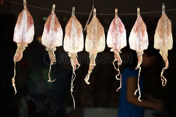 Vietnam  getrocknete Tintenfische aufgehaengt an einer Leine