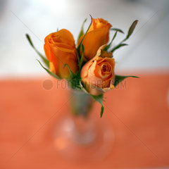 Stendal  Deutschland - Rosen auf einem eingedecktem Tisch in einem Restaurant