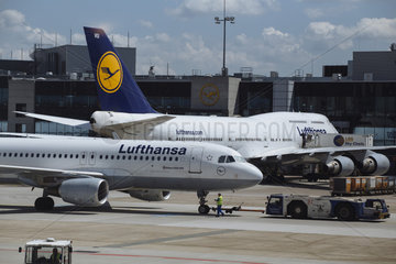 Lufthansa Jets am Gate