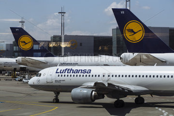 Lufthansa Jets am Gate