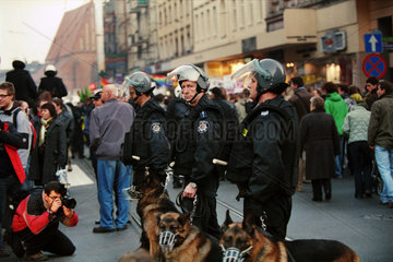 Hundestaffel der Polizei bei einer Demonstration in Posen (Poznan)  Polen