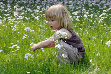Leipzig  ein Kind hockt in einer Blumenwiese