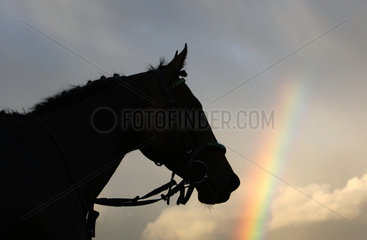 Hannover  Deutschland  Silhouette  Kopf eines Pferdes vor einem Regenbogen