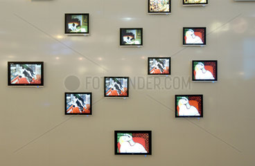 TV-Wand aus Plasma-Bildschirmen  Cebit
