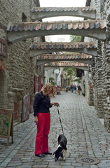 Frau mit ihrem Hund in der Altstadt von Tallinn  Estland