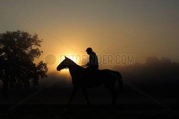 Chantilly  Frankreich  Silhouette  Reiter und Pferd beim Ausritt am Morgen