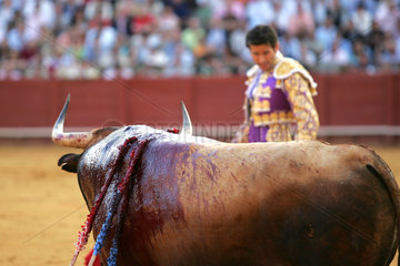 Sevilla  Spanien  der spanische Stierkaempfer Antonio Manuel Punta in der Arena