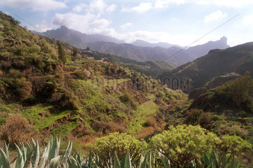Tejeda  Gran Canaria  Spanien  Gebirge im Inneren der Insel
