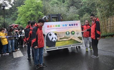 CHINA-SICHUAN-RUSSIA-GIANT PANDA (CN)