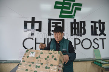 CHINA-JILIN-CHANGCHUN-POSTMAN (CN)