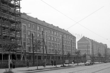 Dresden  DDR  Stadtansicht. Neubauten in der Borsbergstrasse im Stadtteil Striesen