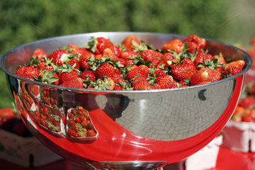 Hannover  Deutschland  reife Erdbeeren in einer silbernen Schale