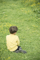 Boy sitting alone in grass  rear view