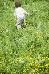 Child running through grass  rear view