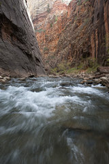 River flowing through Zion National Park  Utah  USA