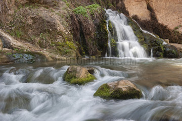 Stream flowing over rocks in Zion National Park  Utah  USA