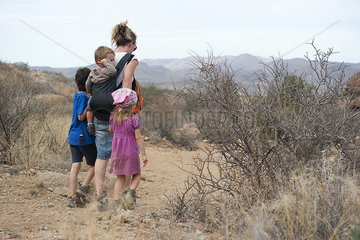Mother and children hiking in the desert  Big Bend National Park  Texas  USA