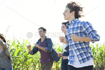Friends on fun run through cornfield