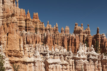 Hoodoo rock formations in Bryce Canyon National Park  Utah  USA