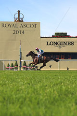 Royal Ascot  Kingman with James Doyle up wins the St James's Palace Stakes