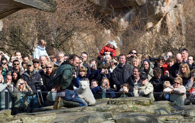 Berlin  Publikumsliebling Eisbaer Knut