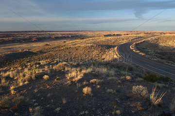 Road through desert landscape in Arizona  USA
