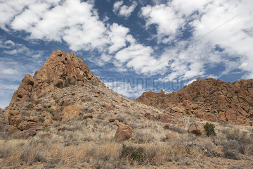 Rocky hills in Big Bend National Park  Texas  USA
