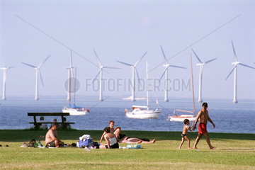Kopenhagen  Daenemark  Offshore-Windpark vor der daenischen Kueste