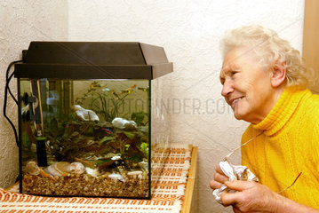 Nauen  eine alte Frau sieht in ein Aquarium
