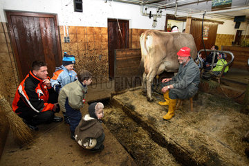 Tirol  Vater und Kinder sehen einem Bauern beim Melken im Stall
