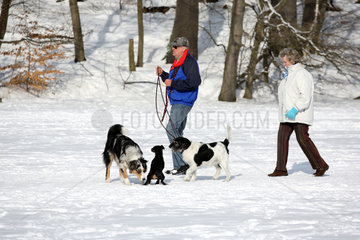 Berlin  Deutschland  Spaziergaenger mit Hunden auf dem zugefrorenen Schlachtensee