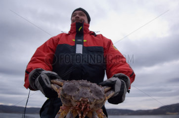 Ein Fischer praesentiert eine Koenigskrabbe (Norwegen)