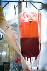 Berlin  Deutschland  Bluttransfusion