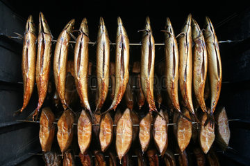 Prangendorf  Fische im Raeucherofen