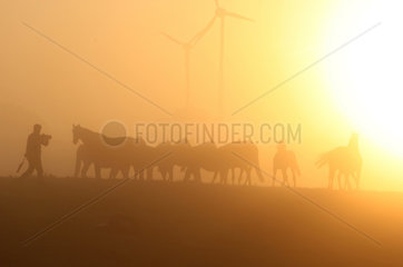 Goerlsdorf  Deutschland  Silhouetten von Mensch und Pferden bei Sonnenaufgang