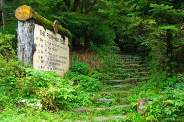 Nikko  Japan  eine ueberwucherte Treppe im Nikko-Nationalpark