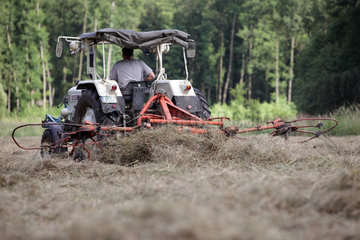 Prangendorf  Deutschland  Landwirt auf einem Traktor beim Heuwenden